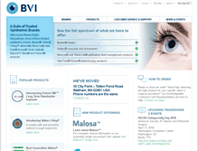 Tablet Screenshot of bv-international.com